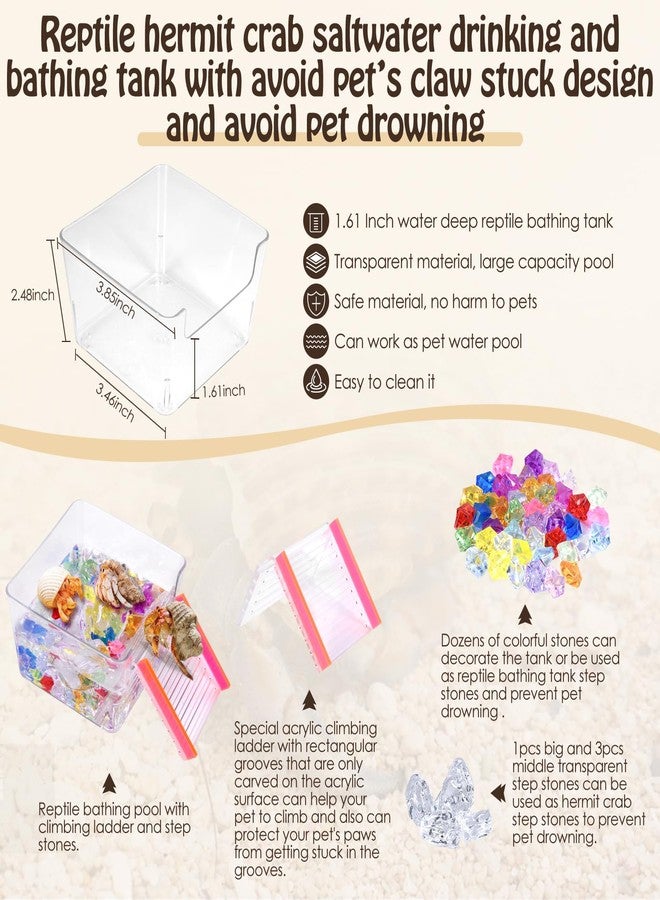 NestBasics 6 Pack Hermit Crab Accessories Hermit Crab Bathing Pool with Ramp Reptile Hermit Crab Water Food Bowls Dish Starter Kits for Hermit Crab Leopard Gecko Frog Spider Lizard Turtle Bearded Dragon etc - Image 3